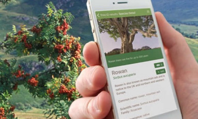 Free Woodland Trust Tree App