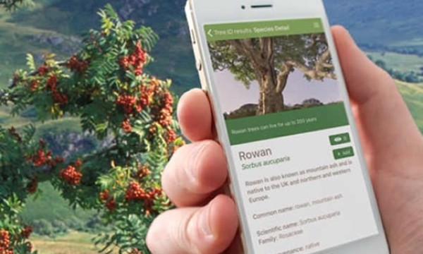 Free Woodland Trust Tree App