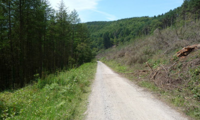 Afan Forest Park | West Glamorgan, South Wales