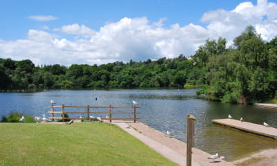 Decoy Country Park | Newton Abbot, Devon