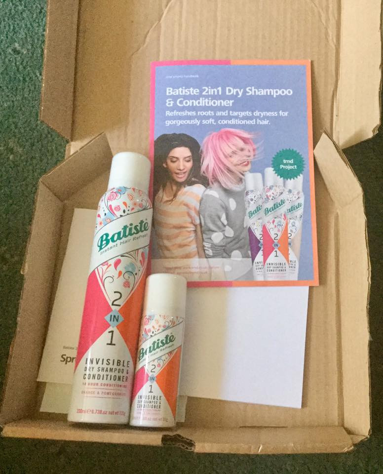 hair styling freebies