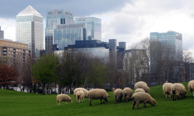 Mudchute Park & Farm | London