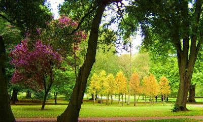 Bute Park | Cardiff, Wales