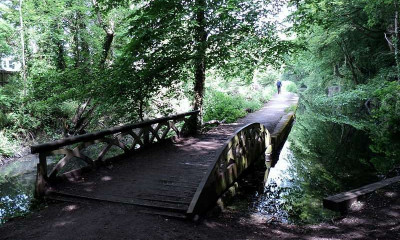 Glamorgan Canal Nature Reserve | Cardiff, Wales