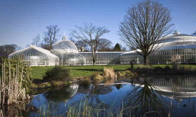 Botanical Gardens | Glasgow, Scotland