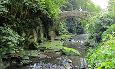 Jesmond Dene Park | Newcastle