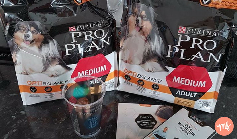 Two bags of free Purina Pro Plan Dog Food, on a black marble counter.
