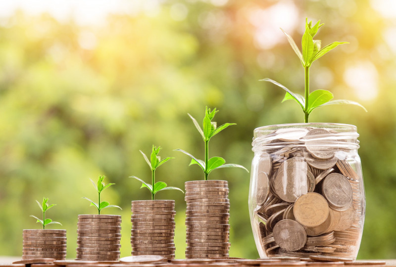 4 towers of coins rising in height with a green plant sprouting at the end of each pile