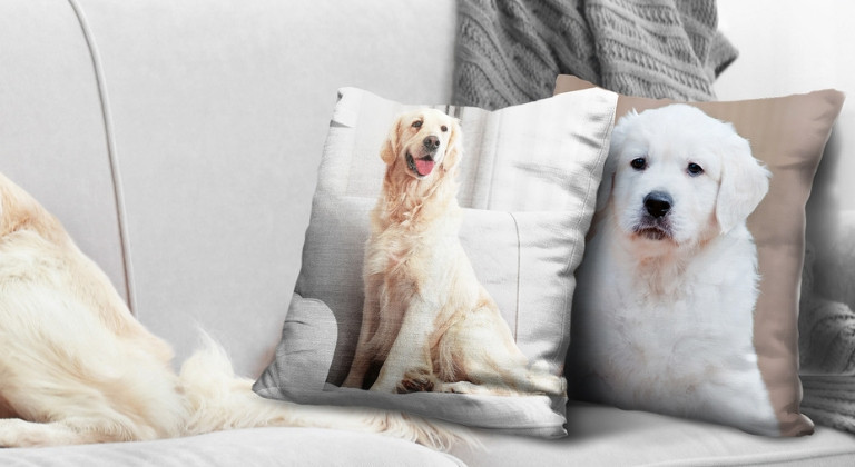 Two cushions with pictures of dogs printed on a grey sofa