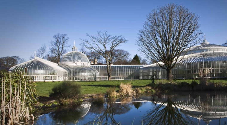 Sunny winter's day at Glasgow Botanical Gardens