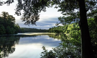 Virginia Water Lake | Runnymede, Surrey