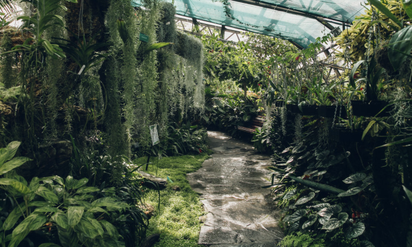 Botanic Gardens | Inverness, Scotland