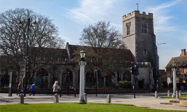 Natural History Museum | Colchester, Essex