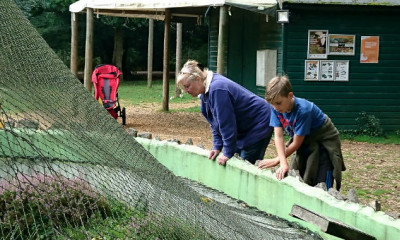 New Forest Reptile Centre | New Forest, Hampshire