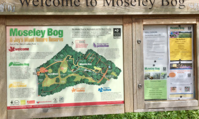 The Tolkien Trail | Moseley Bog, Birmingham