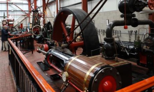 Markham Grange Nursery & Steam Museum | Doncaster, Yorkshire