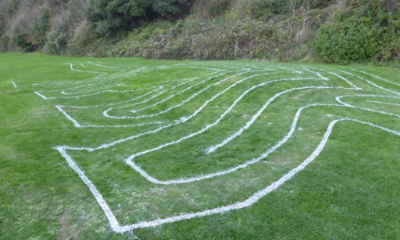 The Diplodocus Labyrinth | Ventnor, Isle of Wight