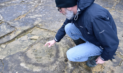 The Spyway Dinosaur Footprints | Swanage, Dorset