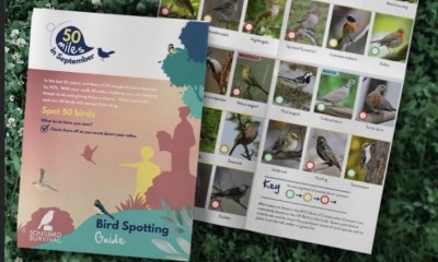 Free Bird-Spotting Guide