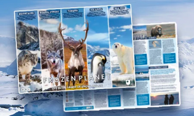 Free Frozen Planet Poster