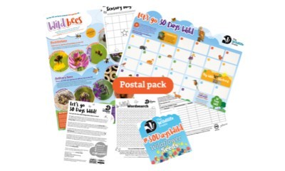 Free Wildflower Seeds & Activity Pack