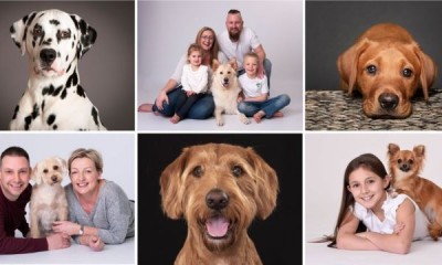 Free Professional Dog Photoshoot