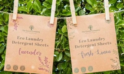 Free Laundry Detergent Sheets