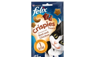 Free Felix Cat Treats