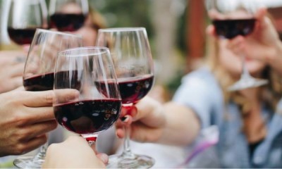 Free Wine Investment Guide