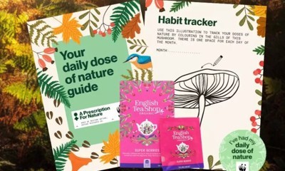 Free Tea Bags and Nature Activity Pack