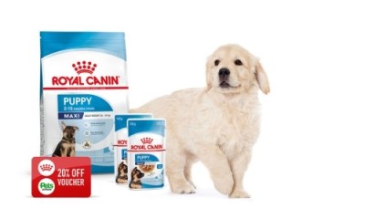 Free Royal Canin Voucher