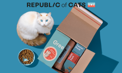 Cat Food Box - £3 for 28 Meals