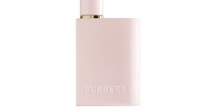 Free Burberry Perfume