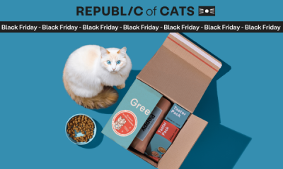 Cat Food Box - £2 for 28 Meals