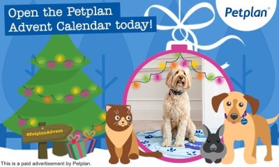 Win 1 of 100 Petplan Pet Blankets