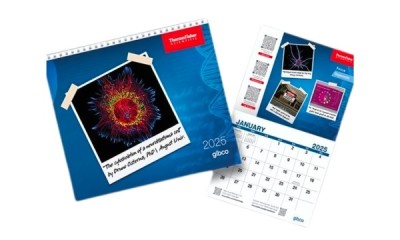 Free 2025 Calendar