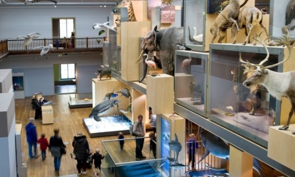 Great North Museum: Hancock | Newcastle