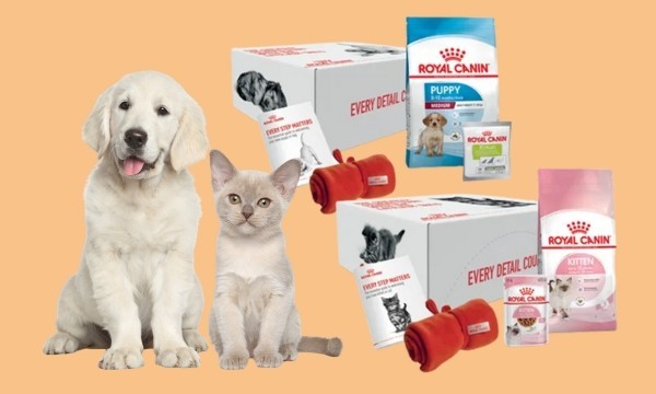 Free Royal Canin Box from Village Vet