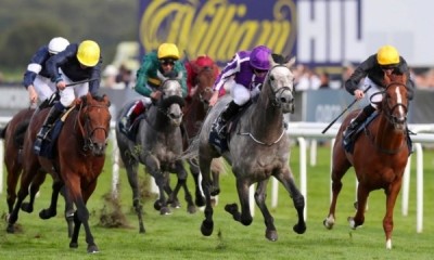Free Horse Racing Tickets - 24,000 Available!