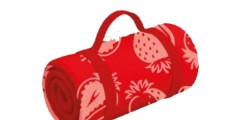 Free Strongbow Picnic Mat