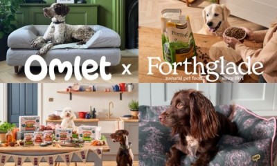 Win a Forthglade Dog Food Bundle + Omlet Dog Bed