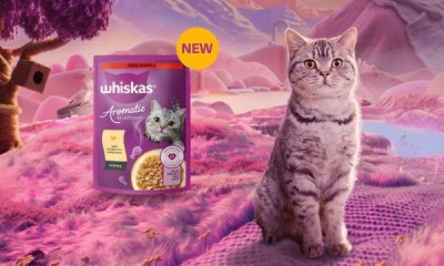 Free Whiskas Aromatic Cat Food