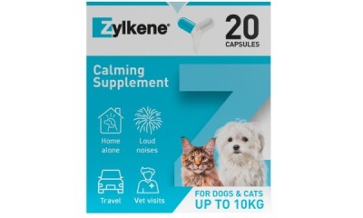 Free Dog Calming Blanket