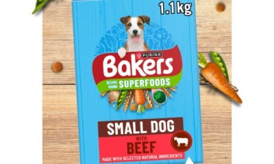 Free Bakers Dog Food - 12,000 Available!
