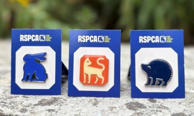 Free RSPCA Animal Pin Badge