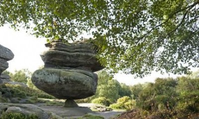 Brimham Rocks | Harrogate, Yorkshire