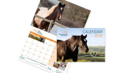 Free Mare & Foal Sanctuary 2026 Calendar