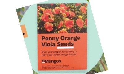 Free Flower Seed Pack