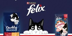 Guide to Free Pet Products: Food, Toys, Vouchers
