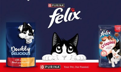 Guide to Free Pet Products: Food, Toys, Vouchers